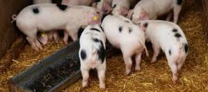 This picture should not be interpreted as visual commentary on the content of this post.