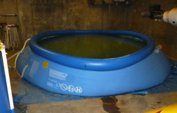 Family fun for everyone!