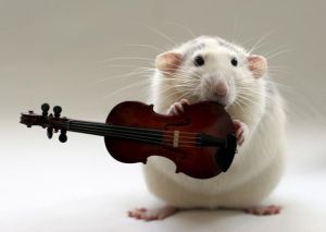 MouseTinyViolin